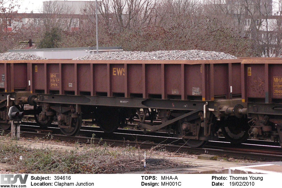 Extra Large Photo