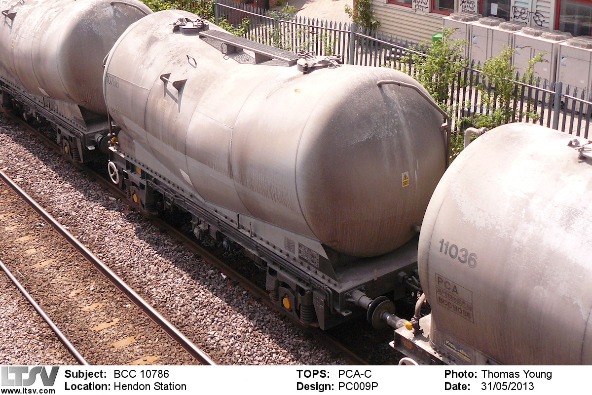 Extra Large Photo