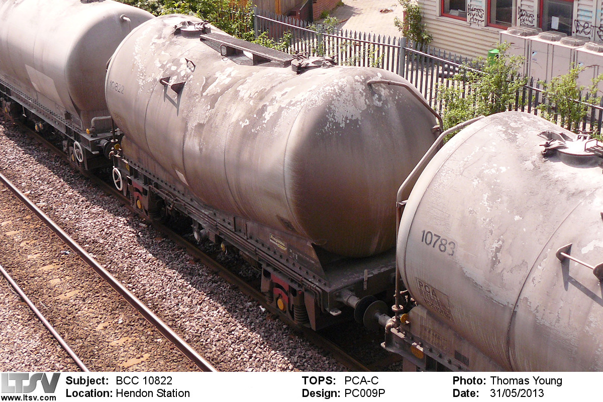 Extra Large Photo