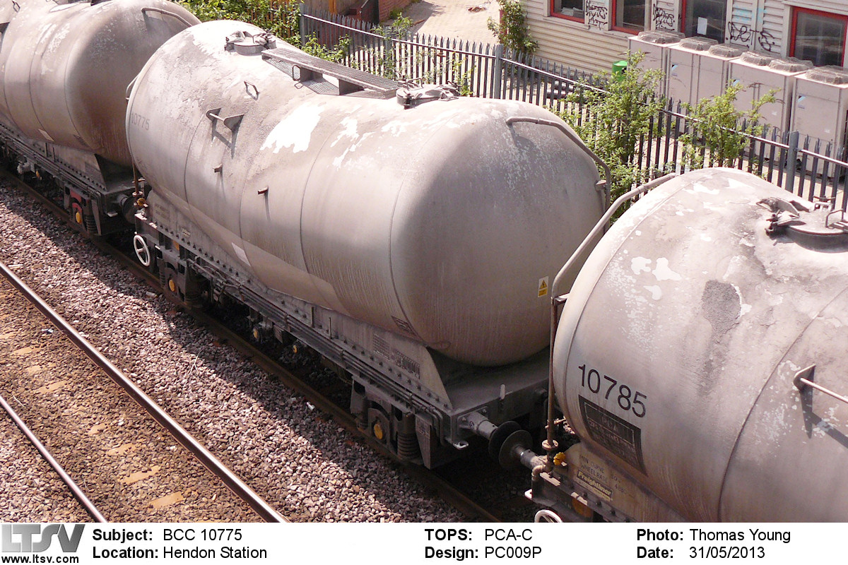 Extra Large Photo