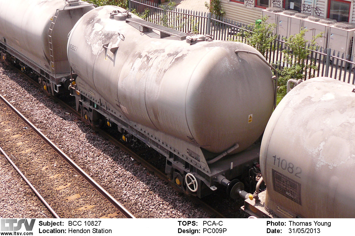 Extra Large Photo