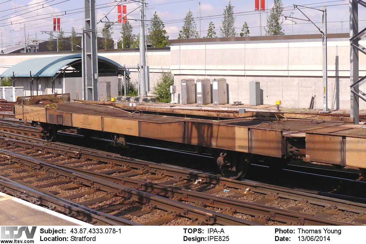 Extra Large Photo