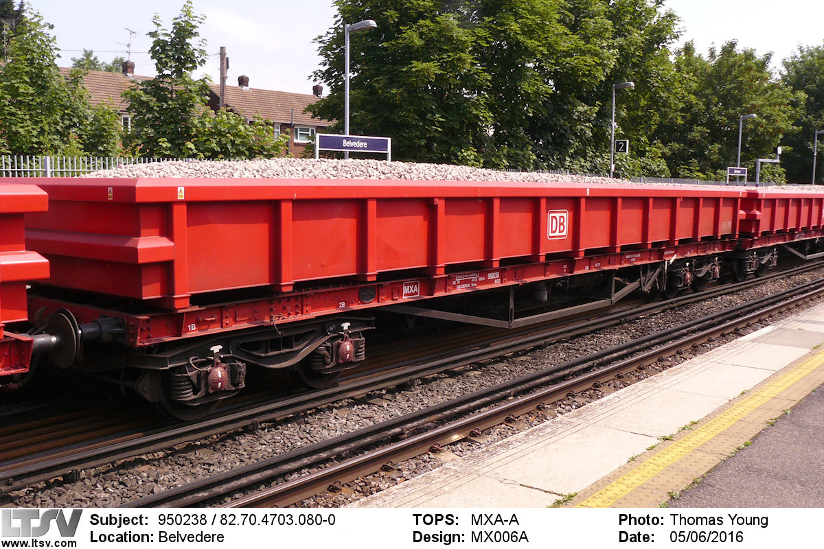Extra Large Photo