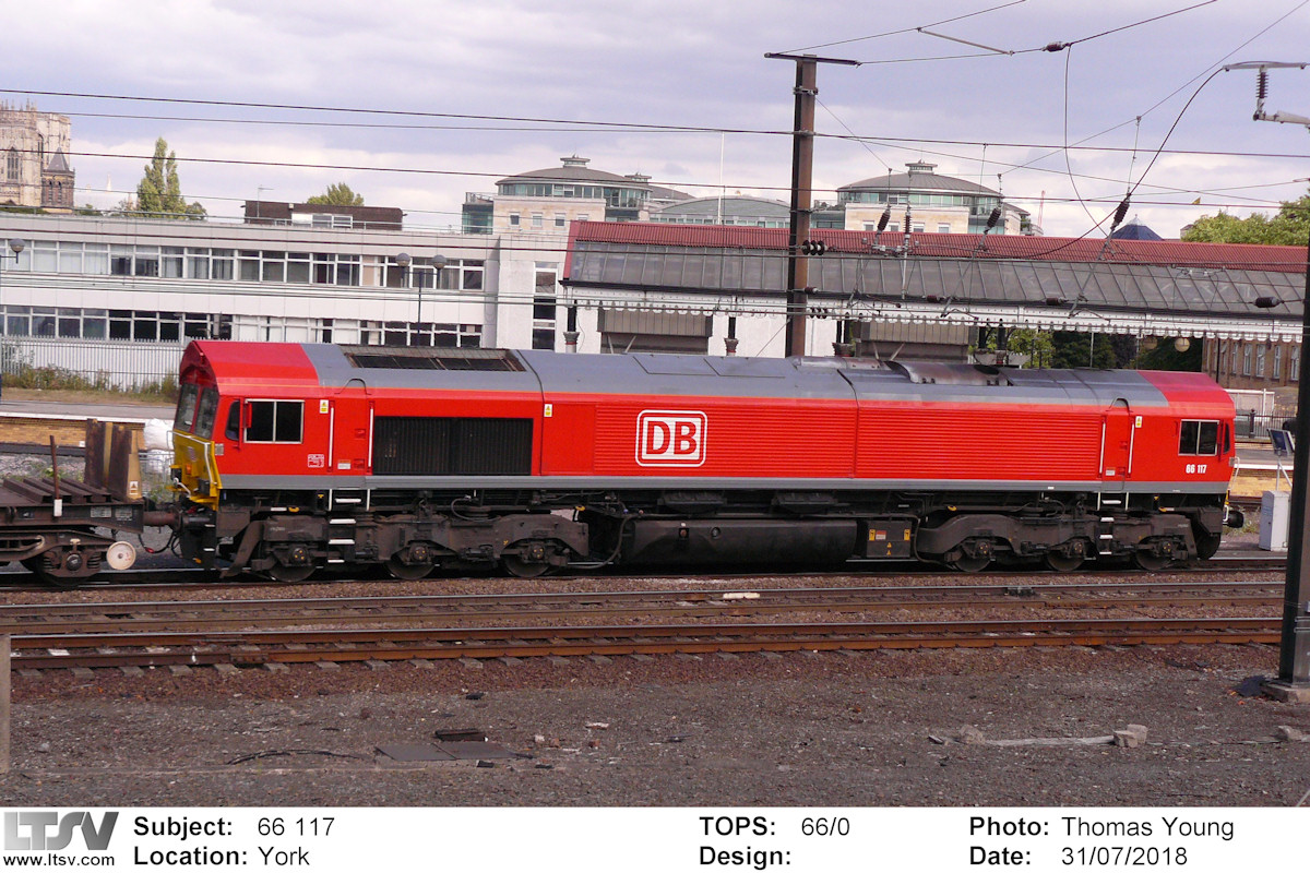 Extra Large Photo