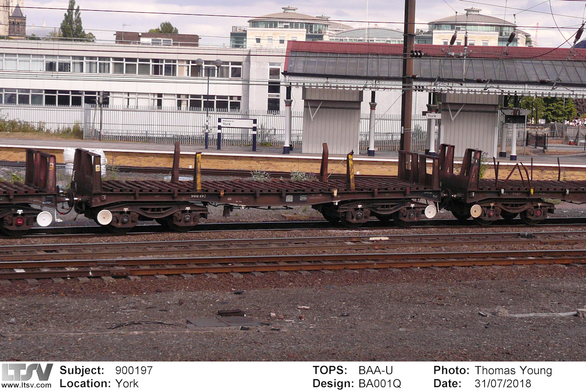 Extra Large Photo