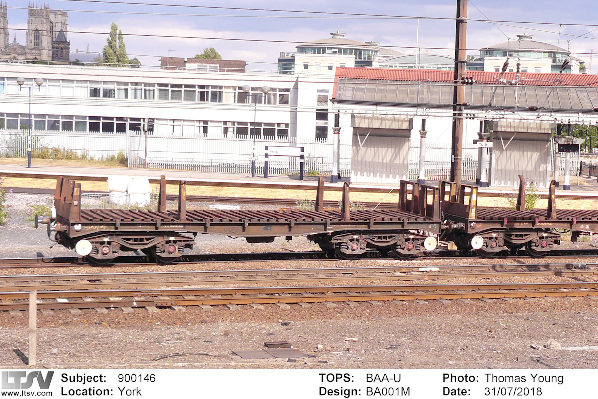 Extra Large Photo