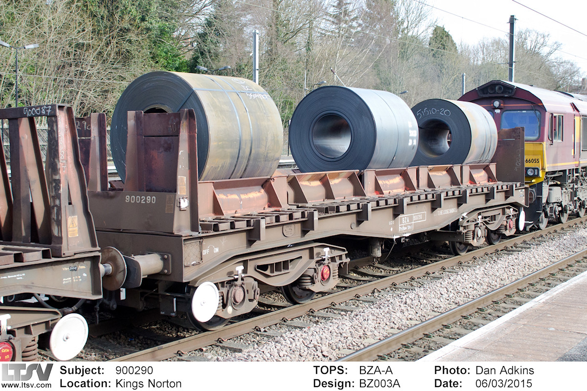 Extra Large Photo