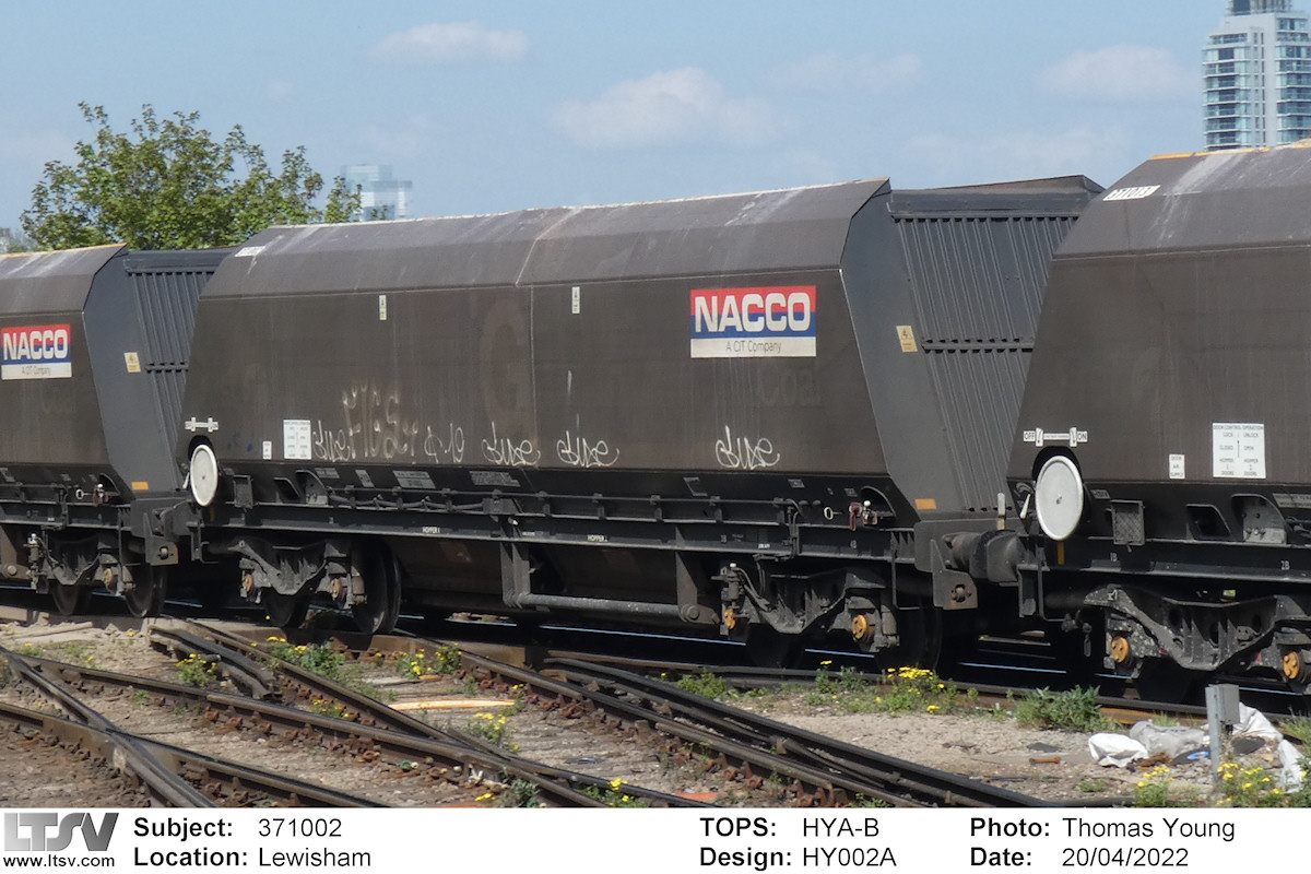 Extra Large Photo