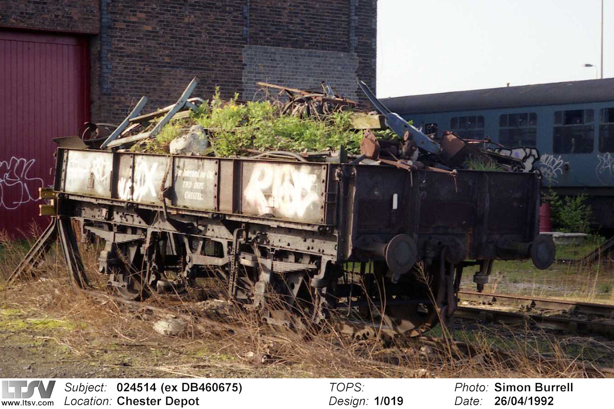 Extra Large Photo