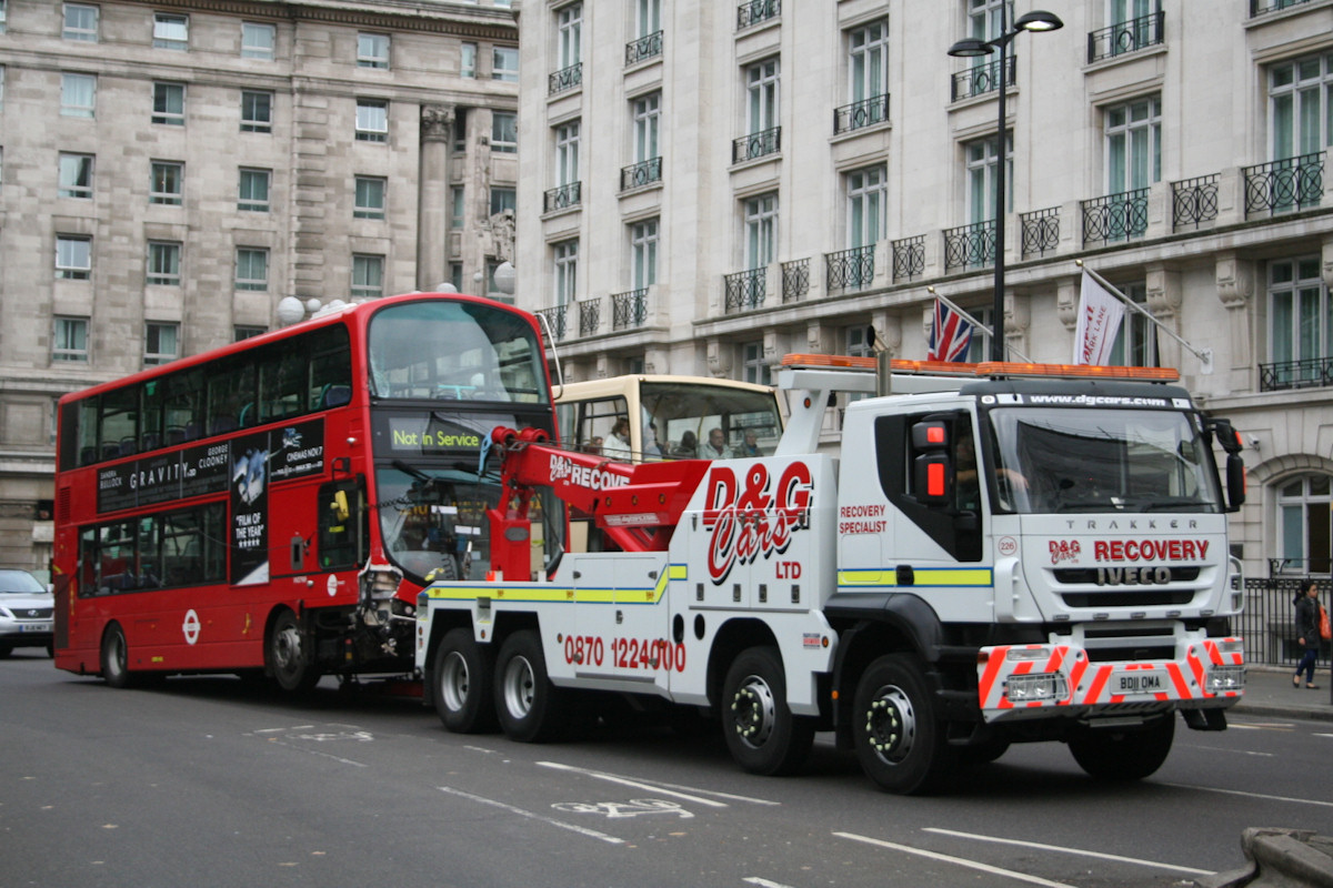 Large Photo